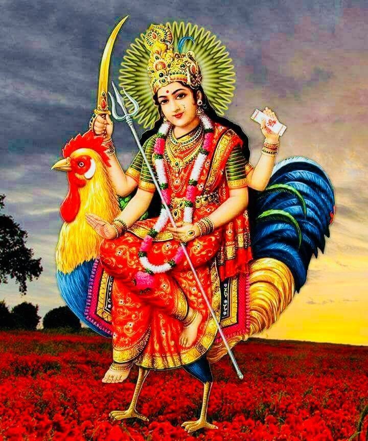 Bahuchar maa Wallpaper HD Bahuchar maa Wallpaper HD